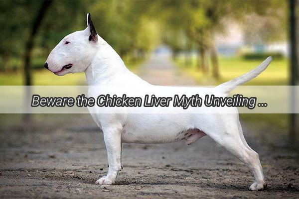 Beware the Chicken Liver Myth Unveiling the Truth About Your Dogs Diet